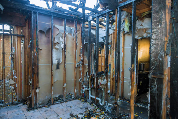 Professional Odor Removal technician working in Cookstown, NJ
