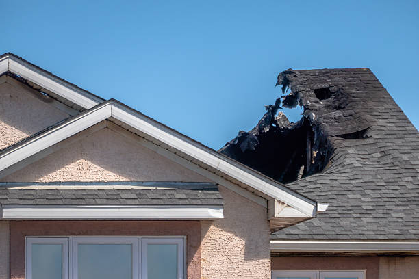 Top rated local Odor Removal specialists in Cookstown, NJ